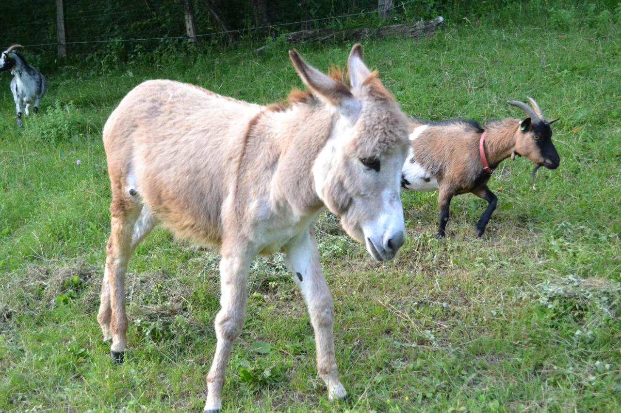 Le Paradis Des Animaux Coublevie Dış mekan fotoğraf